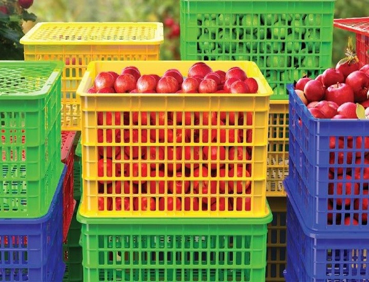 Quy trình gia công thùng nhựa đựng nông sản tại Nhựa Lam Hồng