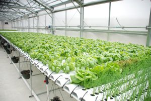 Nhu cầu sử dụng gia công các sản phẩm nhựa nông nghiệp hiện nay