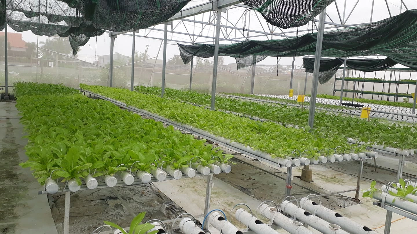 Vì sao nên chọn Nhựa Lam Hồng gia công các sản phẩm nhựa nông nghiệp