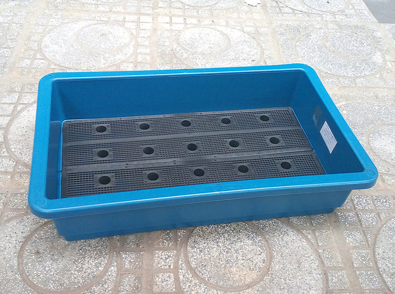 Ưu điểm vượt trội của khay nhựa gieo mạ / trồng rau