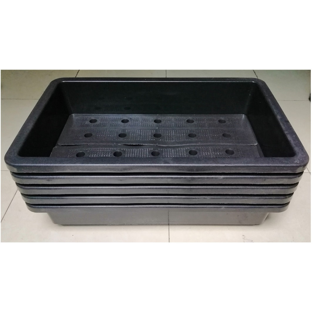 Dịch vụ gia công khay nhựa gieo mạ / trồng rau tại Nhựa Lam Hồng