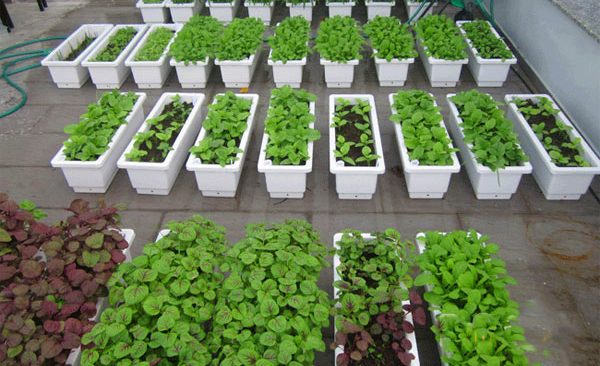 Nhựa Lam Hồng – Giải pháp ép nhựa theo yêu cầu, chất lượng cao, chi phí tối ưu.